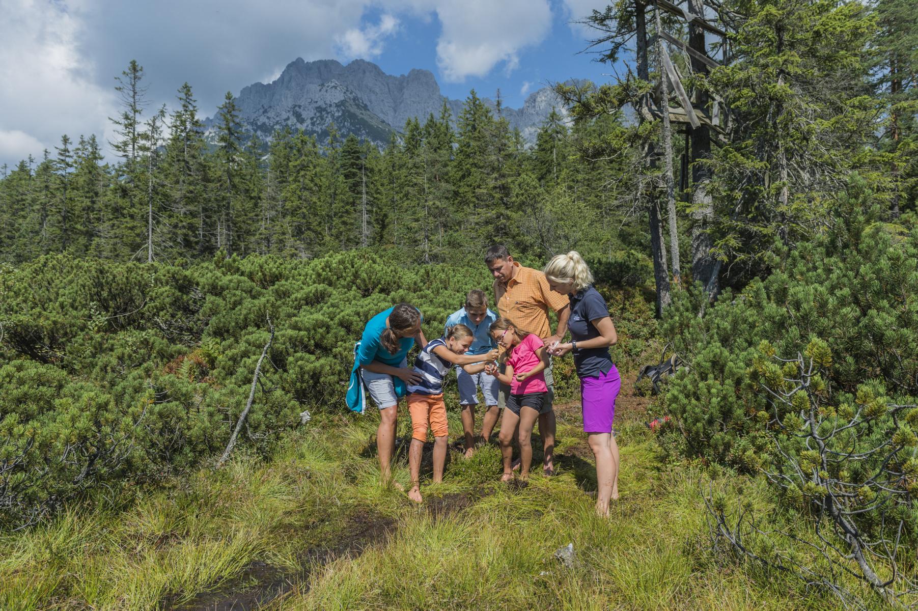 K1600 Moorwanderung Ellmau Foto Peter von Felbert 23